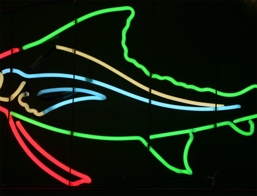 1950's Neon Sailfish 4