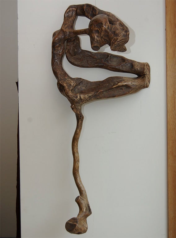 Nature Root Sculpture