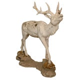 French Standing Deer c 1900