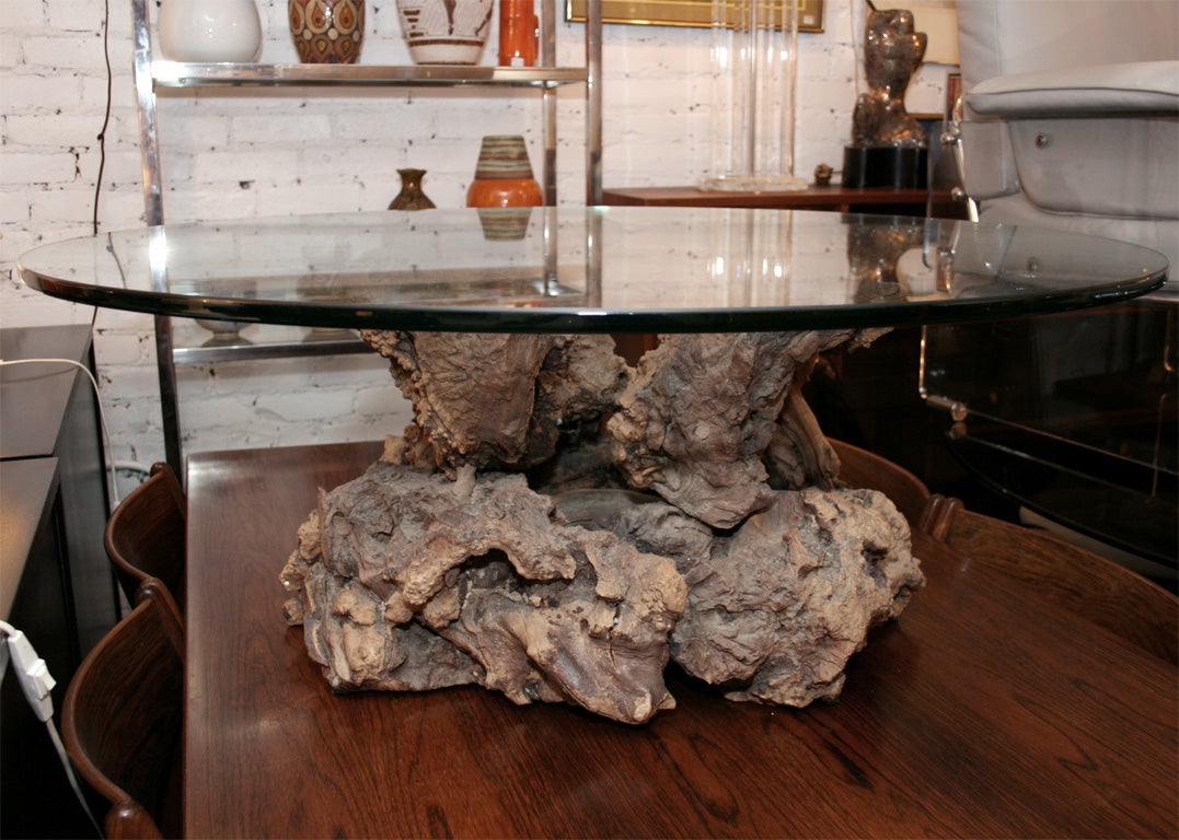 Beautiful cypress root coffee table base with a glass top. Located at Las Venus, 163 Ludlow St. 212 982-0608