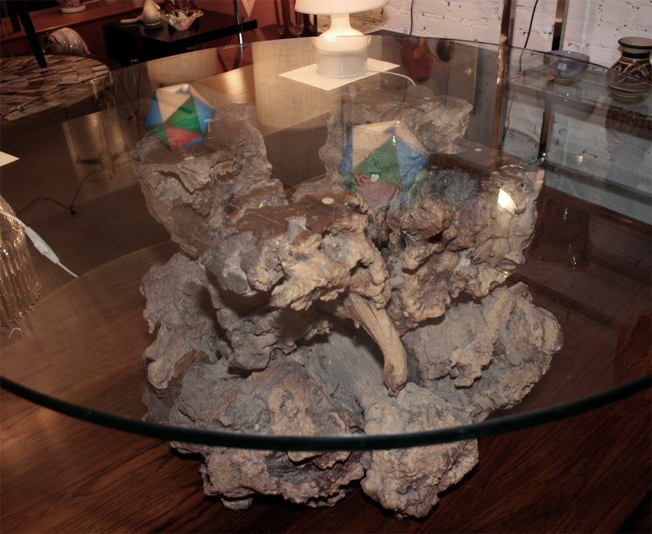 Cypress Root Coffee Table 1