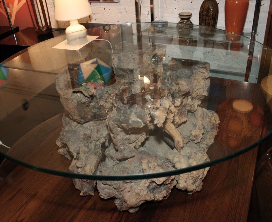 Cypress Root Coffee Table 2