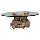 Cypress Root Coffee Table