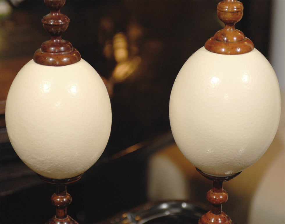 20th Century Pair of Ostrich Eggs on Stand