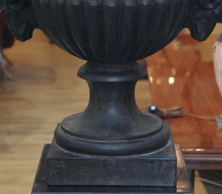 19th Century Empire Iron Pair of Urns