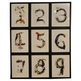 Numbers by G. Wahl