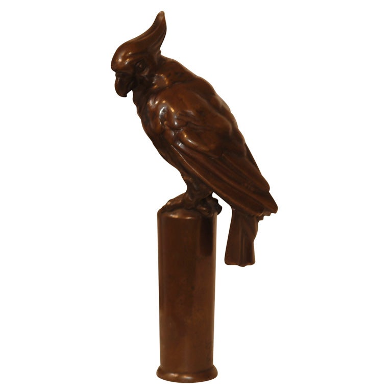 Bronze Cockatiel For Sale