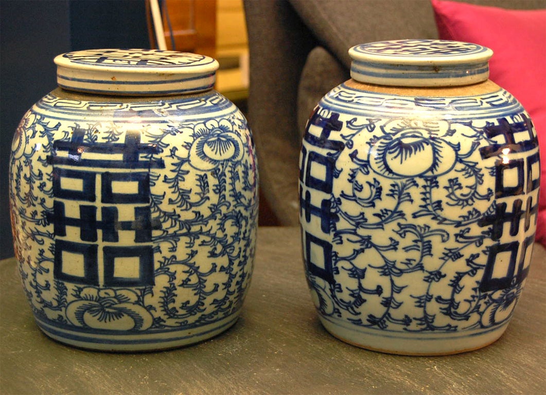 19th Century Pair of Chinese Ginger Jars For Sale