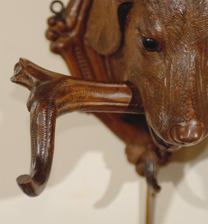 Carved Black Forest Dog Head Coat Rack at 1stDibs