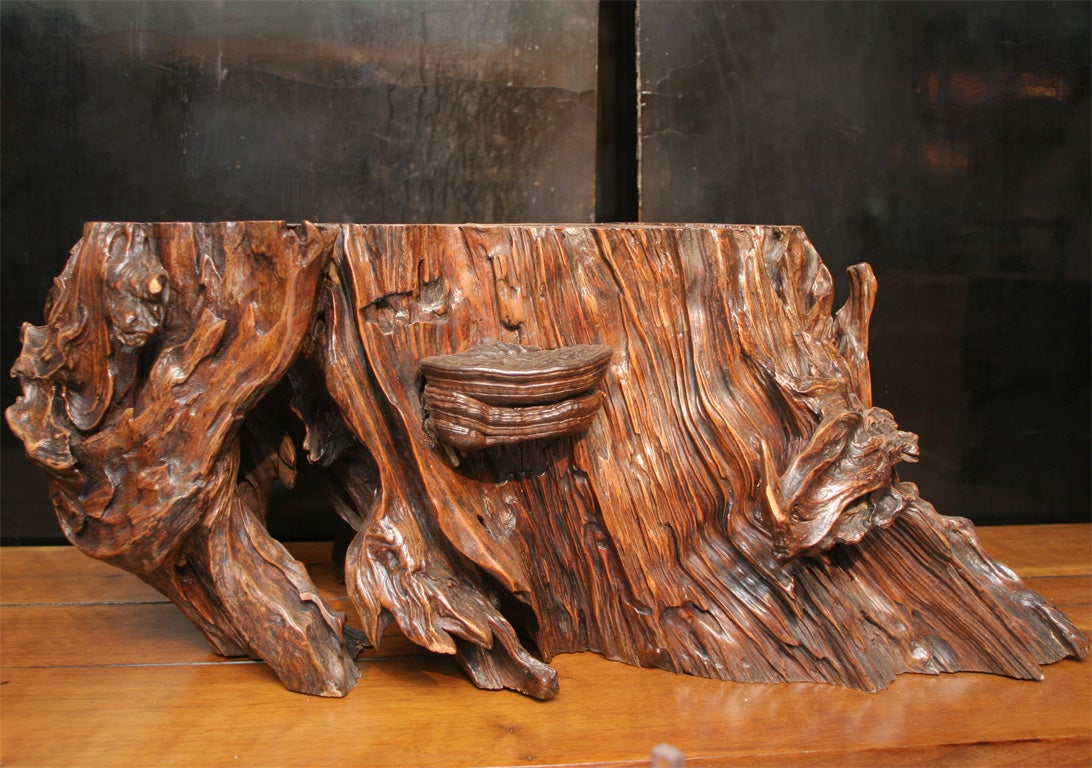 Chinese Rootwood Scholar's Stand