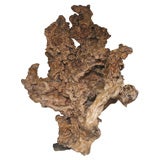 Massive Chinese Root Sculpture