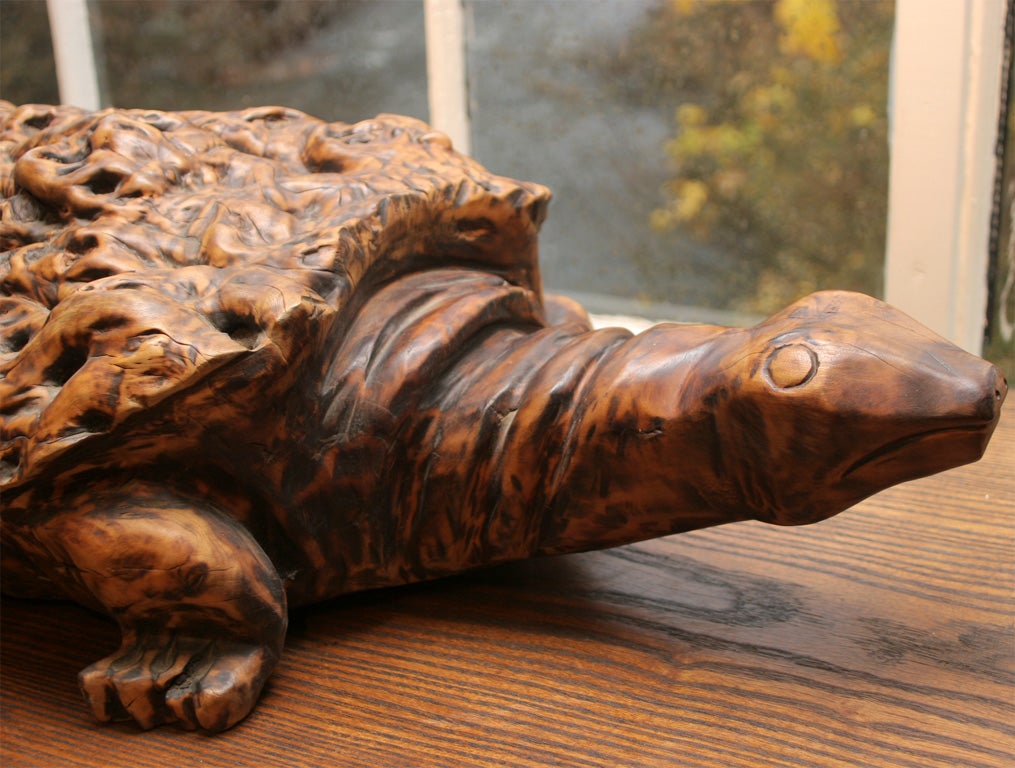 Chinese Carved Burlwood Figure of a Tortoise