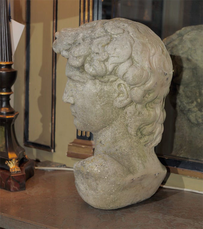 19th Century Cast Stone Head of David, After Michelangelo