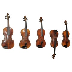 A Lyrical Quintet of Violins from Budapest