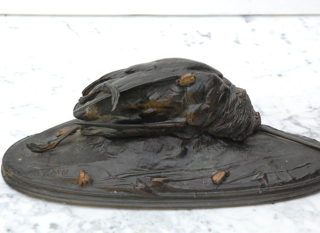French 19th Century Bronze Bird Sculpture