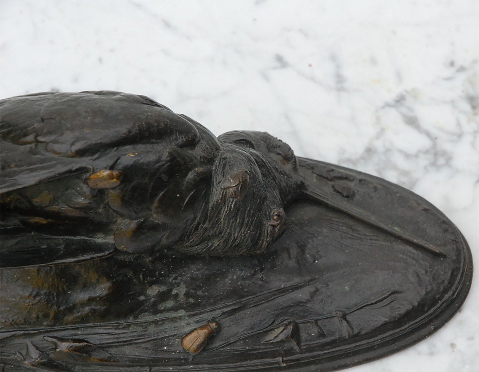 19th Century Bronze Bird Sculpture 2