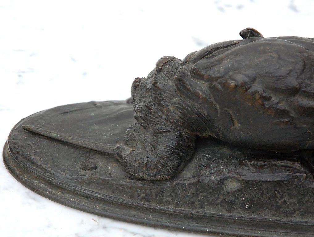 19th Century Bronze Bird Sculpture 4