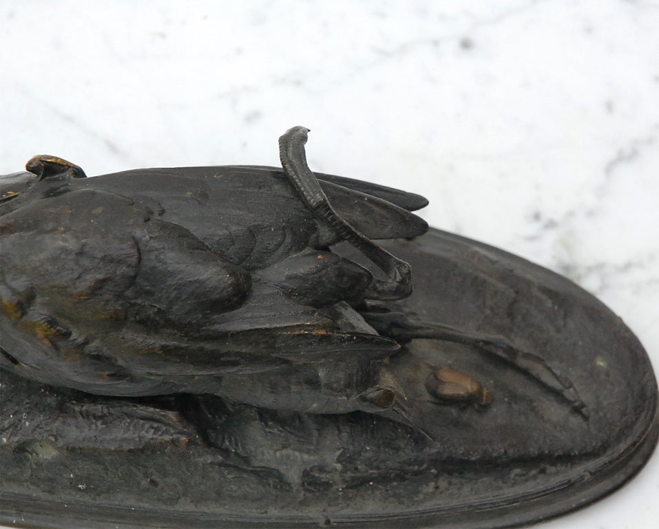 19th Century Bronze Bird Sculpture 5