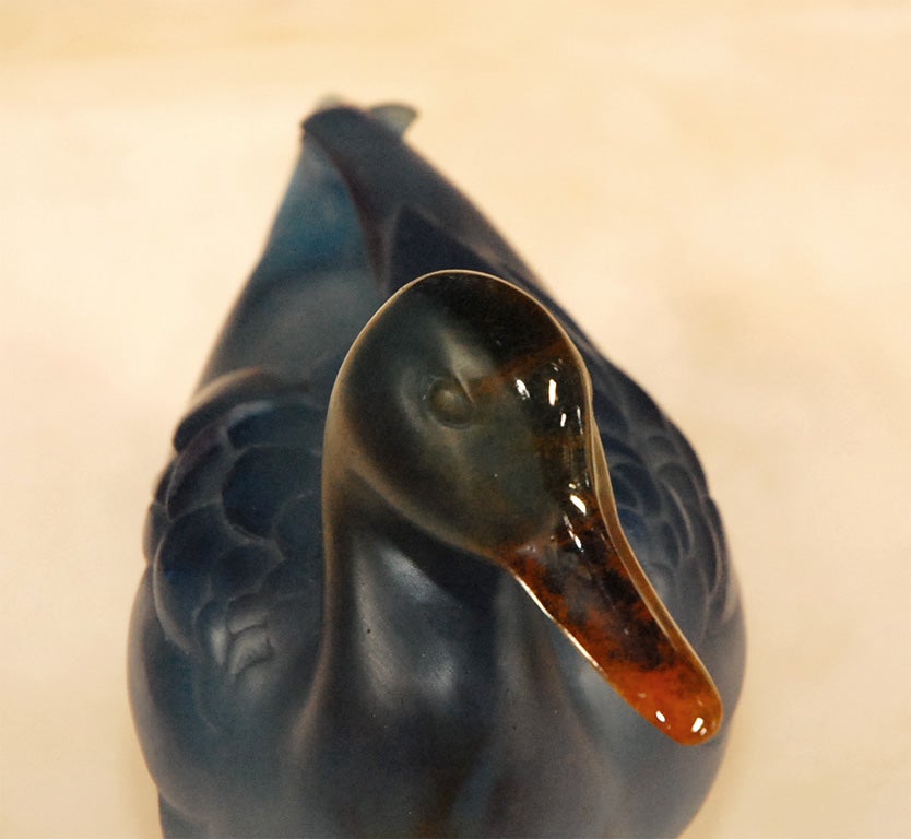 Daum Duck For Sale 2