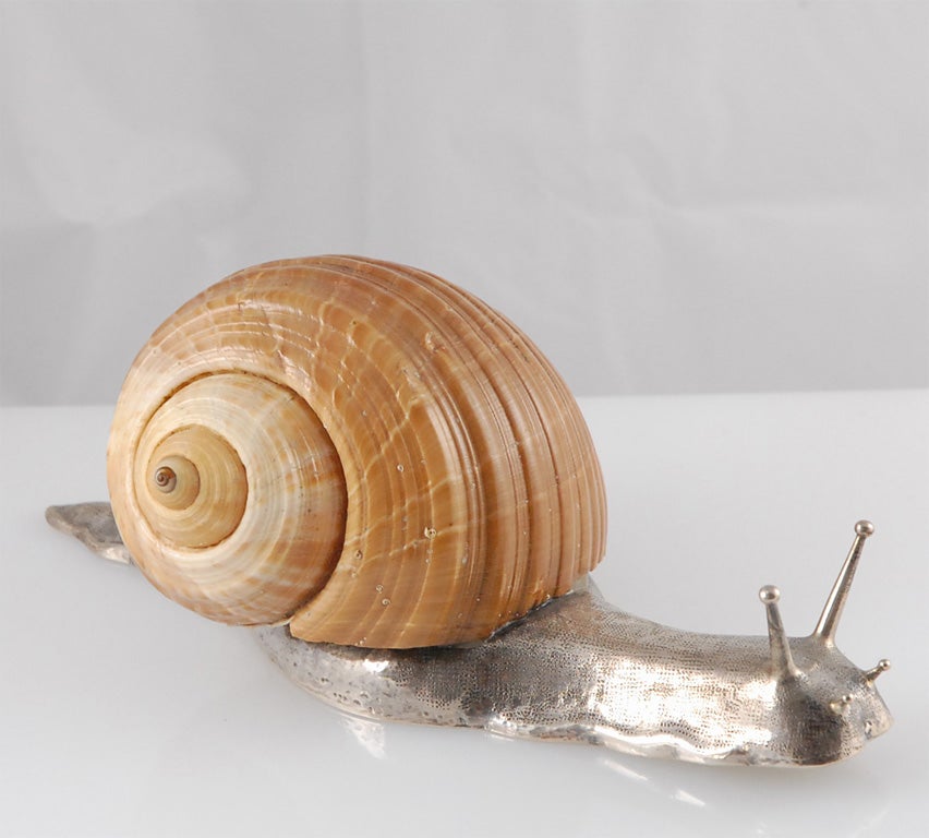 Wonderful Snail made from Sterling Silver that shows the hand of the craftsman who created it.  To complete the illusion the snail has the addition of a real sea shell.  The silver includes a standard mark for Spanish sterling and a maker's mark