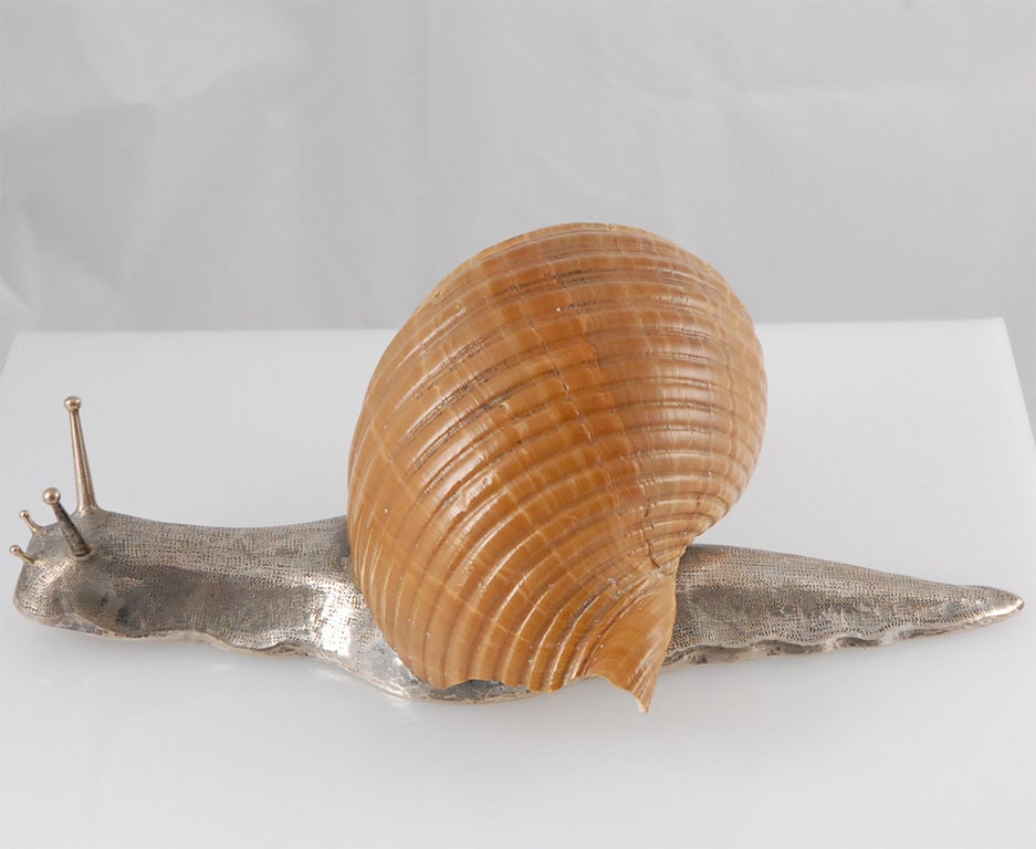Sterling Silver and Shell Snail 1