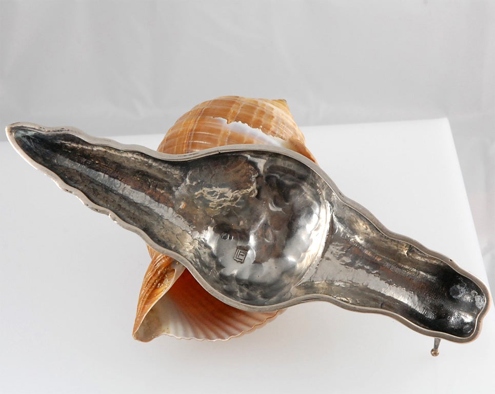 Sterling Silver and Shell Snail 4