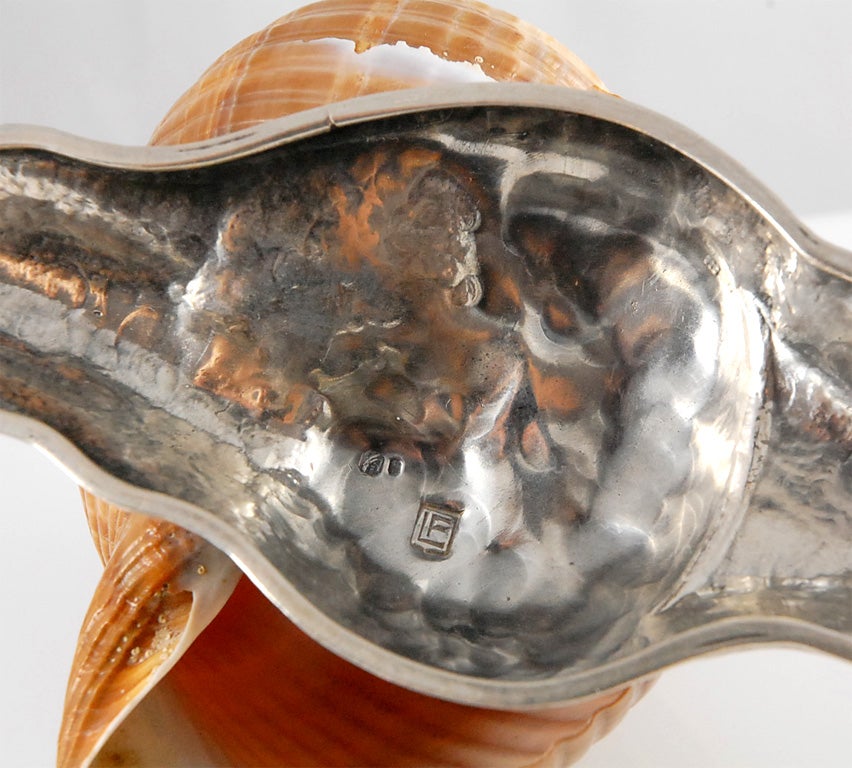 Sterling Silver and Shell Snail 5
