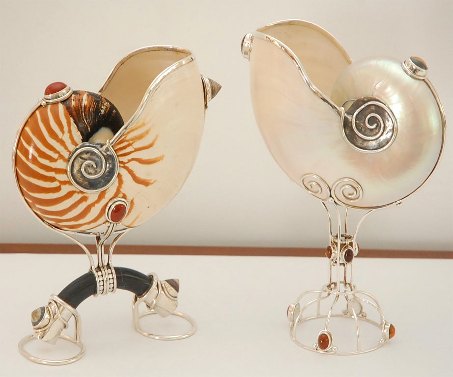 Beautiful Artisan created vessels using both polished and natural Nautilus shells with the structure formed in Sterling Silver and finished with the addition of semi precious stones and one using black coral.  Price listed is for one or the