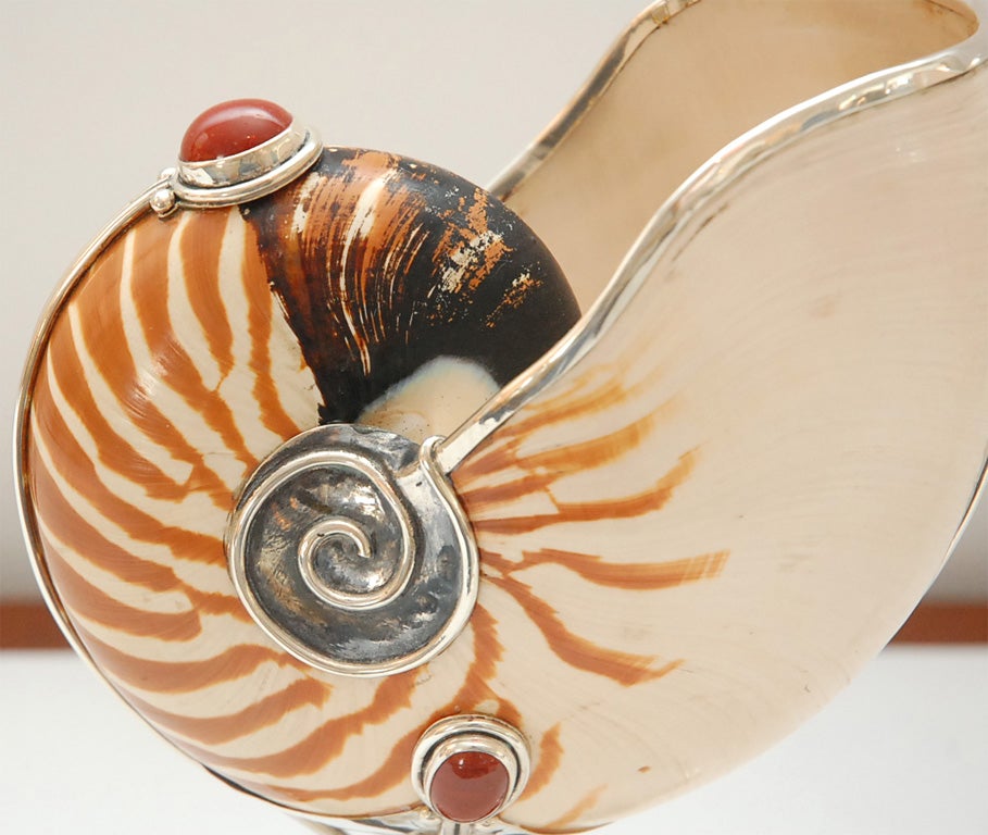 Nautilus Shell, Carnelian, and Sterling Vessels 4