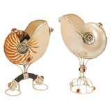 Nautilus Shell, Carnelian, and Sterling Vessels