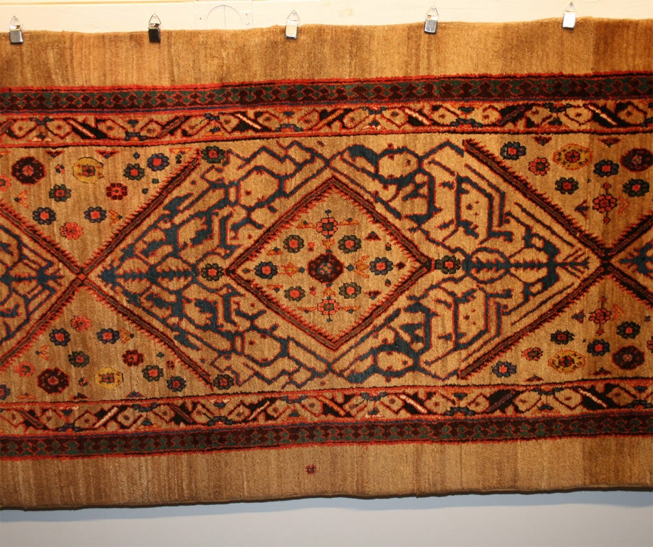 A Serab Runner