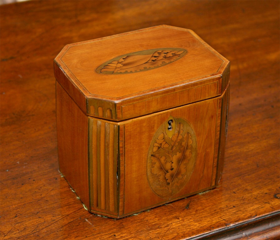 Sheraton Mahogany Inlaid Tea Caddy with Canted Corners.
