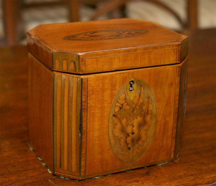 English Sheraton Mahogany Inlaid Tea Caddy with Canted Corners