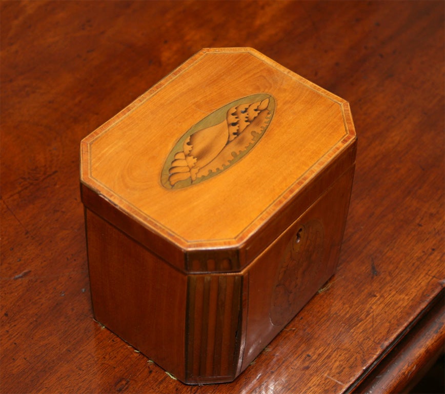 Sheraton Mahogany Inlaid Tea Caddy with Canted Corners In Good Condition In New York, NY