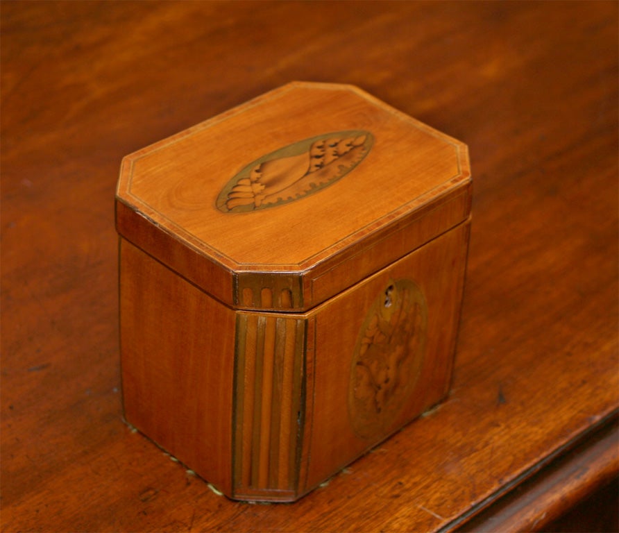 Late 18th Century Sheraton Mahogany Inlaid Tea Caddy with Canted Corners