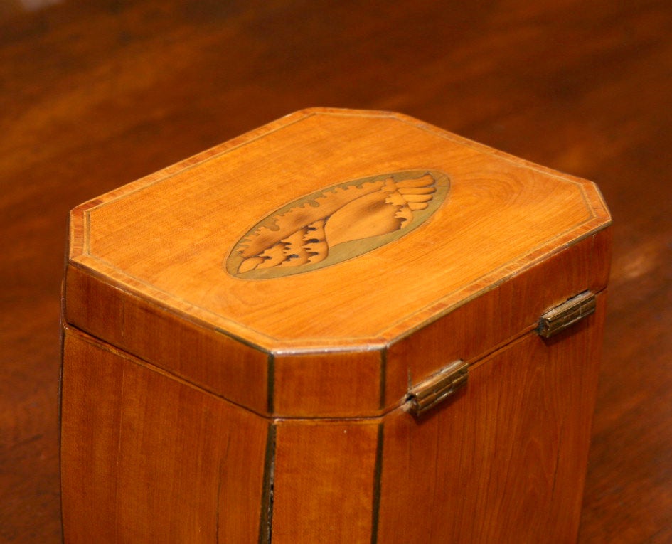 Sheraton Mahogany Inlaid Tea Caddy with Canted Corners 1