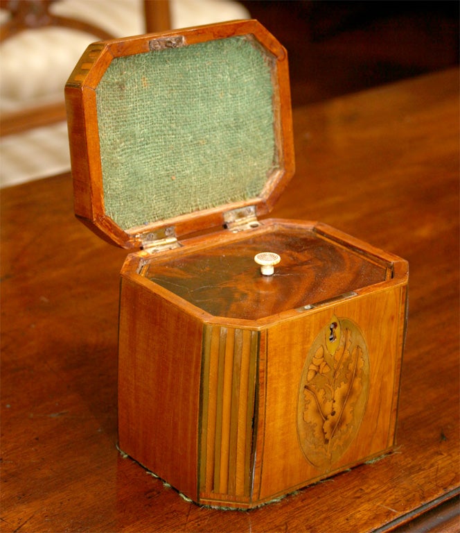 Sheraton Mahogany Inlaid Tea Caddy with Canted Corners 2