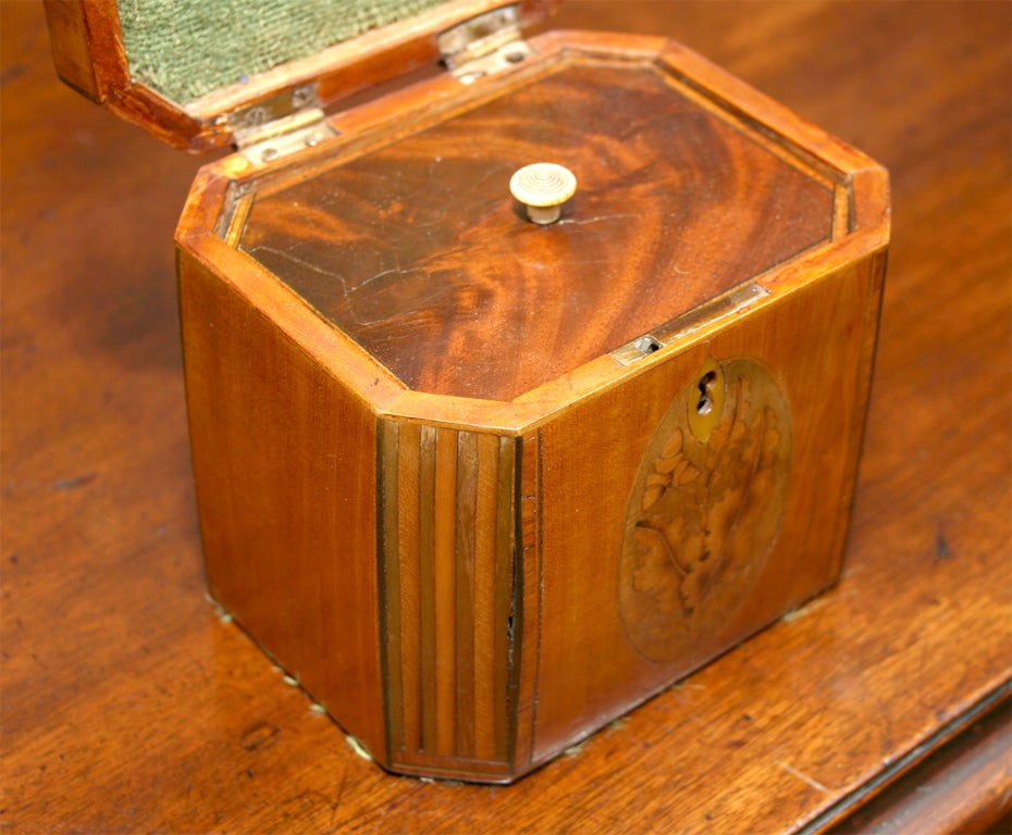 Sheraton Mahogany Inlaid Tea Caddy with Canted Corners 3