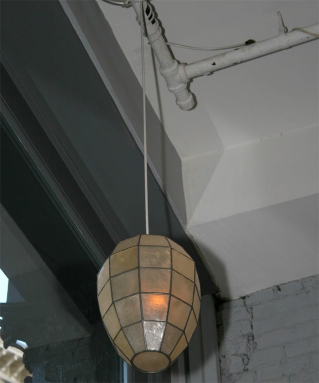 Capiz Oval Shell Pendant Lamp