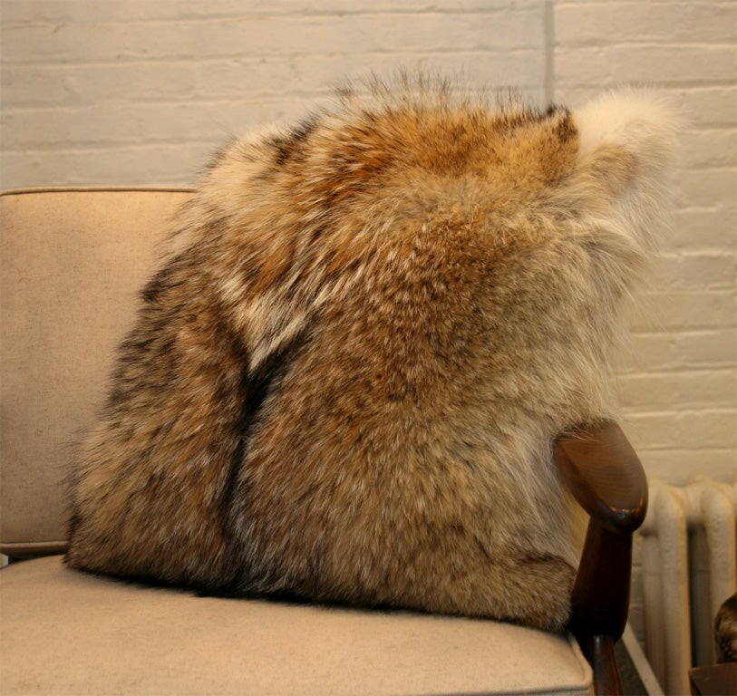 American Pair of Coyote Fur Pillow with Cashmere Backs