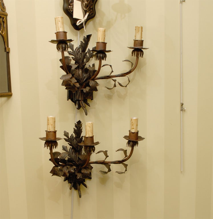 Pair of Italian Neoclassical Wrought Iron Sconces