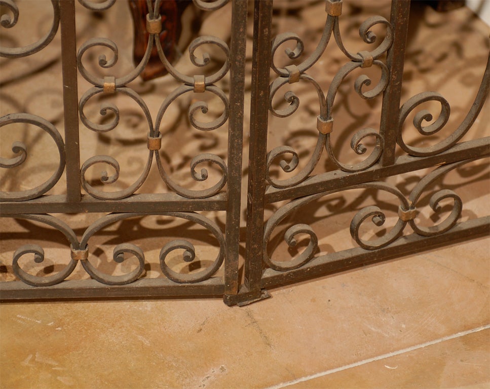 French Iron Garden Gate with Gilt Detail 1