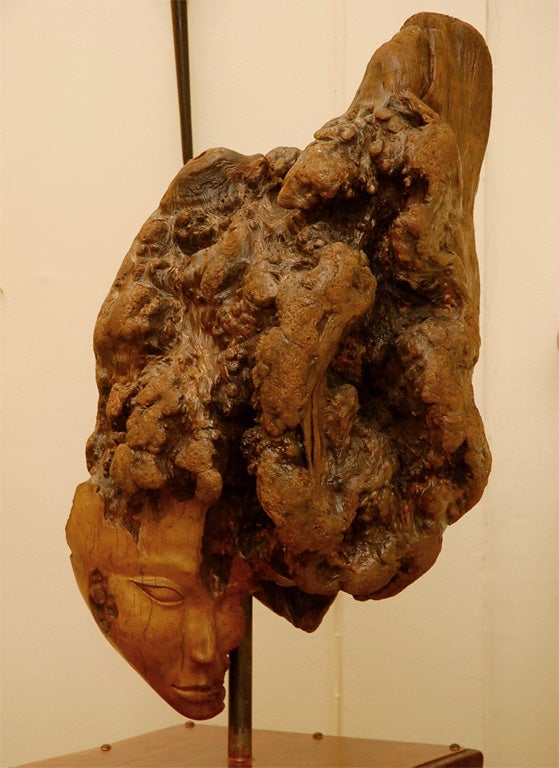 Américain Sculpture de racines avec piédestal de Laurie Tucker en vente
