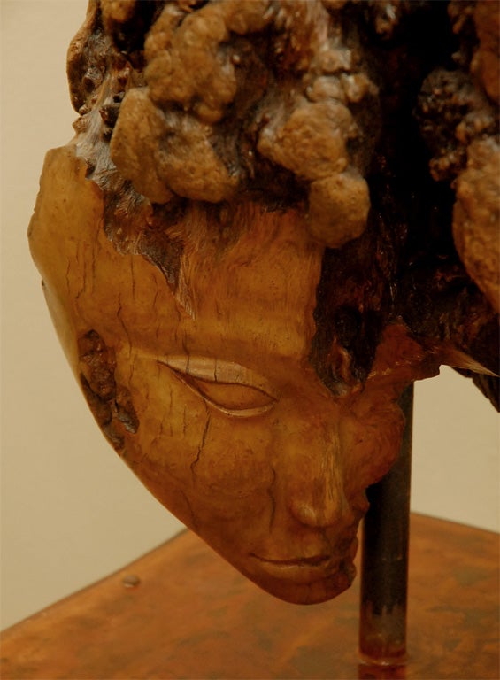 Sculpture de racines avec piédestal de Laurie Tucker Bon état - En vente à Cathedral City, CA