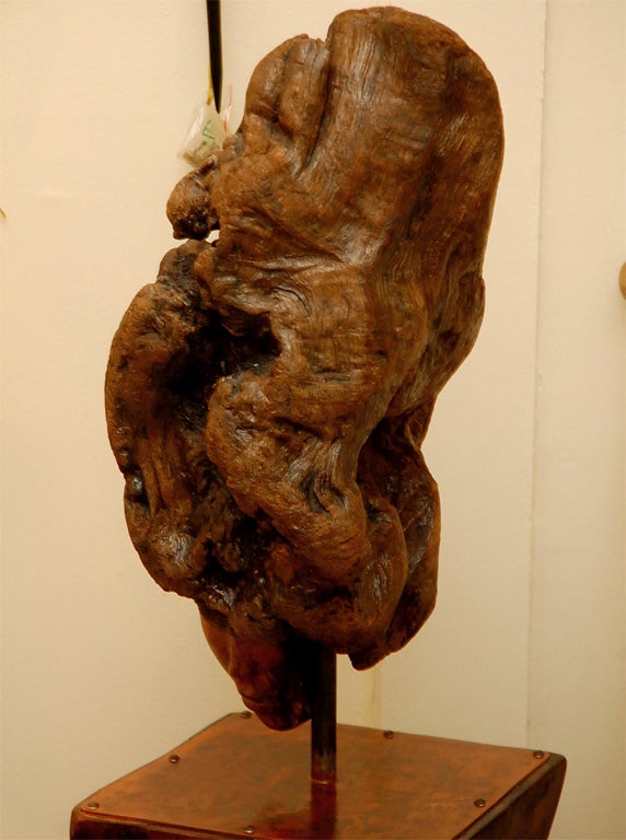 Mid-20th Century Root Sculpture with Pedestal by Laurie Tucker For Sale