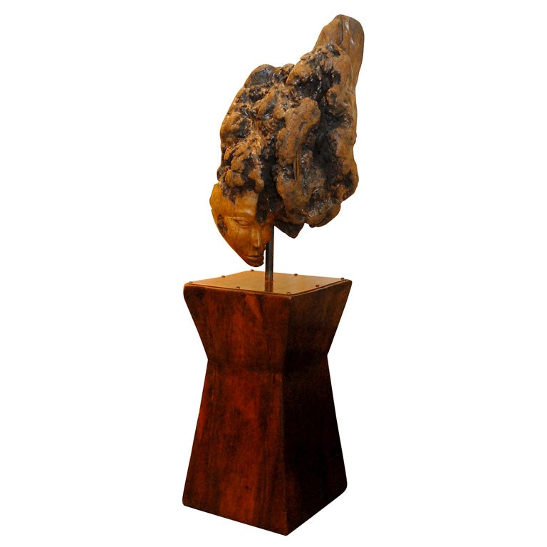 Sculpture de racines avec piédestal de Laurie Tucker en vente