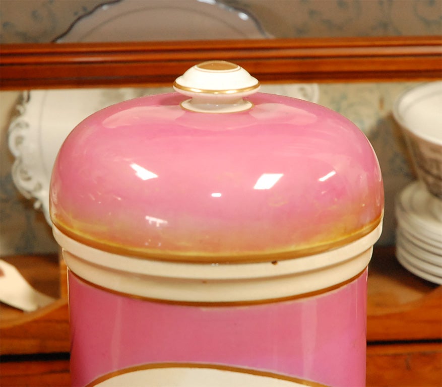 19th Century Pair of pharmacy jars For Sale