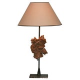 Desert Rose Lamp
