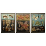 Framed Hagemann School Posters