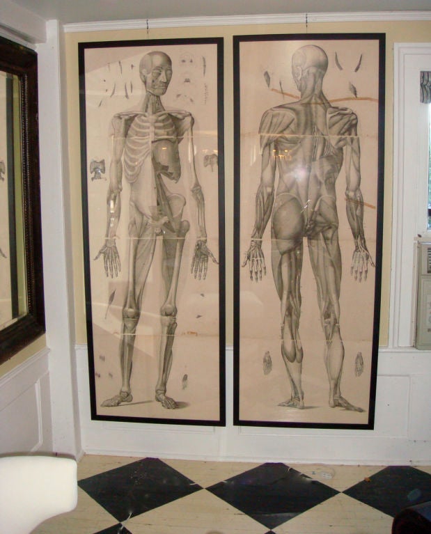 Pair of Large 18th Century Anatomical Etchings For Sale 1